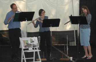 DSH trio